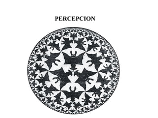 PERCEPCION
 