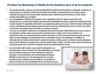 El dolor no disminuye la libido de los hombres pero sí de las mujeres
• Un estudio llevado a cabo por la Universidad McGill de Montreal (Canadá) ha analizado, mediante un
experimento con ratones, la influencia del dolor en la libido, concluyendo que los machos siguen
tratando de copular aun cuando estén sintiendo dolor; mientras que las hembras, al sentir dolor,
quedan disuadidas por completo.
• Los investigadores trataban de averiguar cómo afectaba el dolor al deseo sexual. Para ello
seleccionaron a un grupo de roedores sexualmente compatibles que fueron separados individualmente.
A cada “pareja” le separaba únicamente una pequeña puerta por la que el ratón hembra podía pasar
para ir a la habitación del macho; el tamaño de la puerta fue diseñado para que el macho, que tiene
un tamaño más grande que la hembra, no pudiera cruzarla.
• Tras esto, los científicos inyectaron una pequeña dosis de compuestos inflamatorios en la cola, los pies o
los genitales a ambos sexos cuya sensación principal sería un dolor como el que produce una
quemadura solar. Los ratones hembra cruzaron la puerta un 50% menos de veces que antes de sentir
dolor, lo que implicaba una disminución de su motivación sexual. Sin embargo, al modificar la
ubicación de los ratones, eliminando la puerta de acceso a ambas jaulas, los ratones machos deseaban
tener tantas relaciones sexuales como cuando sentían dolor, es decir, no hubo ningún tipo de cambio de
conducta sexual con o sin dolor. El apetito sexual era exactamente el mismo.
• Las conclusiones del estudio, cuyos autores extrapolan a la
conducta de los seres humanos, han sido publicadas en la revista
Journal of Neuroscience y no han tardado en encontrar
enemigos. El neurocientífico de la Universidad de Rutgers
(EEUU) ha afirmado que “la reivindicación de una base
evolutiva de la conducta sexual basada en un estudio con
ratones trivializa la rica complejidad de la conducta humana
14/05/2014
 