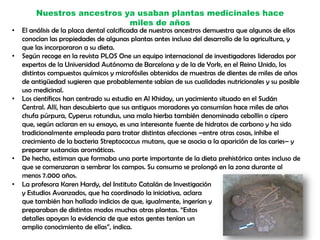 Nuestros ancestros ya usaban plantas medicinales hace
miles de años
• El análisis de la placa dental calcificada de nuestros ancestros demuestra que algunos de ellos
conocían las propiedades de algunas plantas antes incluso del desarrollo de la agricultura, y
que las incorporaron a su dieta.
• Según recoge en la revista PLOS One un equipo internacional de investigadores liderados por
expertos de la Universidad Autónoma de Barcelona y de la de York, en el Reino Unido, los
distintos compuestos químicos y microfósiles obtenidos de muestras de dientes de miles de años
de antigüedad sugieren que probablemente sabían de sus cualidades nutricionales y su posible
uso medicinal.
• Los científicos han centrado su estudio en Al Khiday, un yacimiento situado en el Sudán
Central. Allí, han descubierto que sus antiguos moradores ya consumían hace miles de años
chufa púrpura, Cyperus rotundus, una mala hierba también denominada cebollín o cípero
que, según aclaran en su ensayo, es una interesante fuente de hidratos de carbono y ha sido
tradicionalmente empleada para tratar distintas afecciones –entre otras cosas, inhibe el
crecimiento de la bacteria Streptococcus mutans, que se asocia a la aparición de las caries– y
preparar sustancias aromáticas.
• De hecho, estiman que formaba una parte importante de la dieta prehistórica antes incluso de
que se comenzaran a sembrar los campos. Su consumo se prolongó en la zona durante al
menos 7.000 años.
• La profesora Karen Hardy, del Instituto Catalán de Investigación
y Estudios Avanzados, que ha coordinado la iniciativa, aclara
que también han hallado indicios de que, igualmente, ingerían y
preparaban de distintos modos muchas otras plantas. “Estos
detalles apoyan la evidencia de que estas gentes tenían un
amplio conocimiento de ellas”, indica.
 