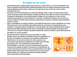 El origen de los sexos
• ¿De dónde proviene la diferenciación entre hombres y mujeres? Ahora, una nueva investigación del
Centro de Ciencias de Danforth Plant (EEUU) desmitifica cómo las especies evolucionaron para tener
patrones diferentes entre ambos y afirma que el origen de los sexos es obra de un gen maestro
controlador del sexo.
• El estudio, que ha sido publicado en la revista Plos Biology, halló un alga, concretamente la Volvox
carteri, que posee un gen responsable de las diferencias físicas claras entre los machos y las hembras en
las especies multicelulares, lo que podría explicar también cómo se originaron los sexos en otros
organismos pluricelulares como las plantas o los animales. La diferencia evidente que conocemos es
que estos organismos tienen células o gametos reproductores masculino y femenino (espermatozoides
o polen y óvulos).
• Para su investigación, los expertos utilizaron el gen MID del alga Volvox carteri, identificado en el alga
Chlamydomonas como controlador de la diferenciación de sus dos tipos de apareamiento, para
averiguar si se producía alguna modificación a nivel de género. Así, forzaron genéticamente al alga a
expresar el gen MID, logrando convertir óvulos en paquetes de espermatozoides funcionales. De la
misma forma, consiguieron idéntico resultado al desarrollar óvulos funcionales a partir del bloqueo del
gen MID en los machos genéticos.
• Este descubrimiento muestra que los dos sexos tienen un origen
genético común, que podría ser también la base de la procedencia de
los sexos en las plantas, los animales y otras especies multicelulares.
• “Además de en el caso de las plantas de cultivo, puede ser una
herramienta importante para seleccionar las mejores cepas de algas
que puedan servir como materiales de alimentación de
biocombustibles u otros fines, aunque la reproducción sexual de la
mayoría de las especies de algas se conoce poco. La identificación de
un gen conservado que controla el sexo y el apareamiento en las algas
puede producir pistas sobre cómo se controla el sexo en otros grupos
afines de algas que se utilizan para aplicaciones biotecnológicas”,
afirma James Umen, líder del estudio.
 