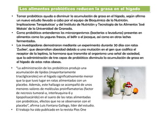 Los alimentos probióticos reducen la grasa en el hígado
• Tomar probióticos ayuda a disminuir la acumulación de grasa en el hígado, según afirma
un nuevo estudio llevado a cabo por el equipo de Bioquímica de la Nutrición.
Implicaciones Terapéuticas' y del Instituto de Nutrición y Tecnología de los Alimentos 'José
Mataix' de la Universidad de Granada.
• Como probióticos entendemos los microorganismos (bacterias o levaduras) presentes en
alimentos como los yogures frescos, el kéfir o el jocoque, así como en otras leches
fermentadas.
• Los investigadores demostraron mediante un experimento durante 30 días con ratas
'Zucker', que desarrollan obesidad debido a una mutación en el gen que codifica el
receptor de la leptina, la hormona que transmite al organismo una señal de saciedad,
que la administración de tres cepas de probióticos disminuía la acumulación de grasa en
el hígado de estas ratas obesas.
• “La administración de los probióticos produjo una
acumulación de lípidos (mayoritariamente
triacilgliceroles) en el hígado significativamente menor
que la que tuvo lugar en ratas alimentadas con un
placebo. Además, este hallazgo se acompañó de unos
menores valores de moléculas proinflamatorias (factor
de necrosis tumoral-a, interleuquina-6 y
lipopolisacárido) en el suero de las ratas alimentadas
con probióticos, efectos que no se observaron con el
placebo”, afirma Luis Fontana Gallego, líder del estudio.
• El trabajo ha sido publicado en la revista Plos One
 