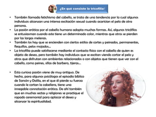 ¿En qué consiste la tricofilia?
• También llamada fetichismo del cabello, se trata de una tendencia por la cual algunos
individuos alcanzan una intensa excitación sexual cuando acarician el pelo de otra
persona.
• La pasión erótica por el cabello humano adopta muchas formas. Así, algunos tricófilos
se entusiasman cuando este tiene un determinado color, mientras que otros se pierden
por las largas melenas.
• También los hay que se encienden con ciertos estilos de cortes y peinados, permanentes,
flequillos, pelos mojados...
• La tricofilia puede satisfacerse mediante el contacto físico con el cabello de quien es
objeto de deseo, pero también hay individuos que se excitan viendo cortar el pelo y
otros que disfrutan con ambientes relacionados o con objetos que tienen que ver con el
cabello, como peines, sillas de barbero, tijeras...
• Esta curiosa pasión viene de muy antiguo. De
hecho, para algunos psicólogos el episodio bíblico
de Sansón y Dalila, en el que él pierde su fuerza
cuando le cortan la cabellera, tiene una
innegable connotación erótica. De ahí también
que en muchas sectas y religiones se practique el
rapado ceremonial para aplacar el deseo y
alcanzar la espiritualidad.
 