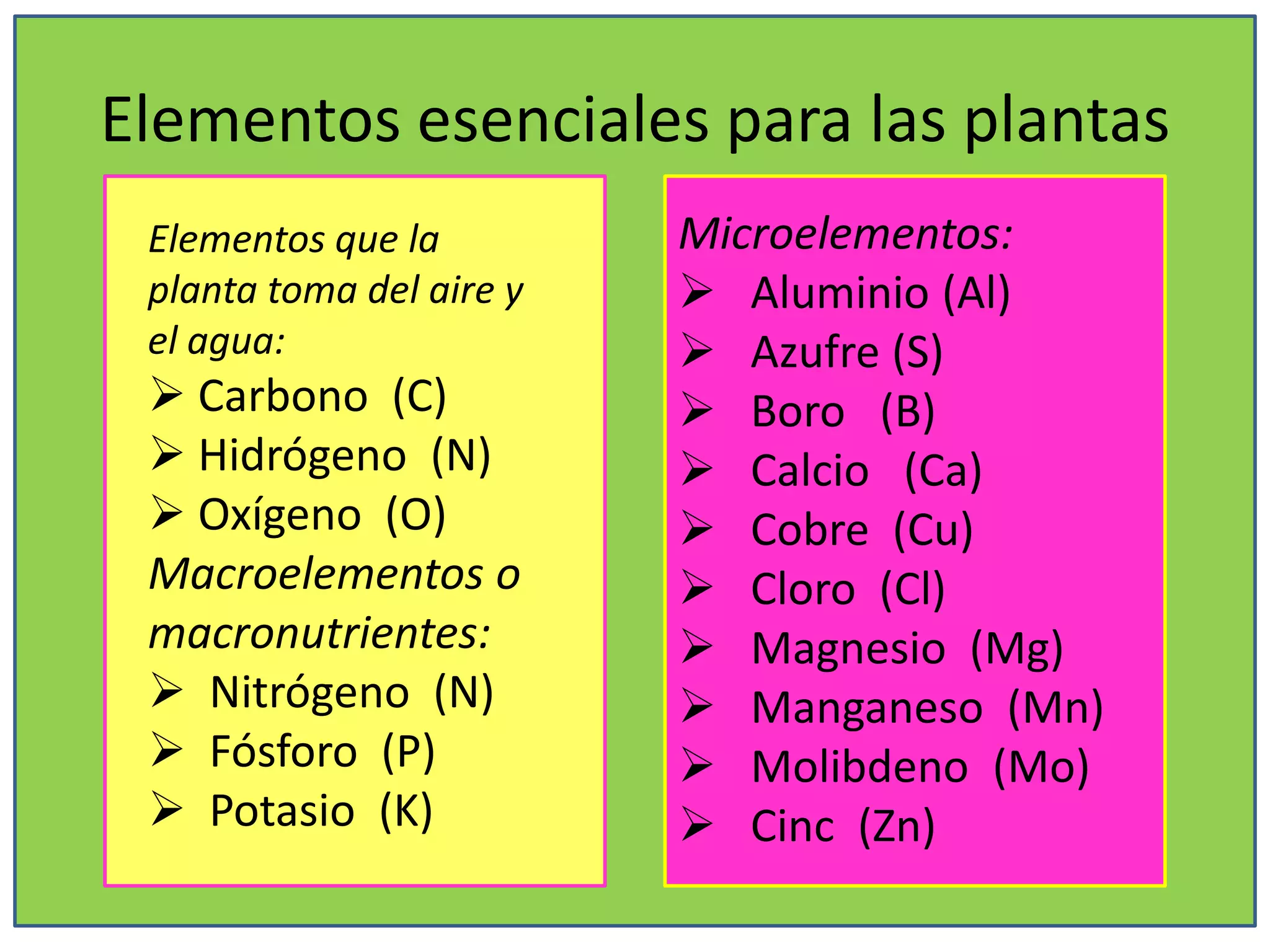 Elementos esenciales para las plantas
Elementos que la
planta toma del aire y
el agua:
 Carbono (C)
 Hidrógeno (N)
 Oxígeno (O)
Macroelementos o
macronutrientes:
 Nitrógeno (N)
 Fósforo (P)
 Potasio (K)
Microelementos:
 Aluminio (Al)
 Azufre (S)
 Boro (B)
 Calcio (Ca)
 Cobre (Cu)
 Cloro (Cl)
 Magnesio (Mg)
 Manganeso (Mn)
 Molibdeno (Mo)
 Cinc (Zn)
 