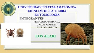 UNIVERSIDAD ESTATAL AMAZÓNICA
CIENCIAS DE LA TIERRA
ENTOMOLOGIA
INTEGRANTES:
FERNANDO MIRANDA.
GRACE RAMIREZ.
WILLIAMS BRITO.
LOS ACARI
 