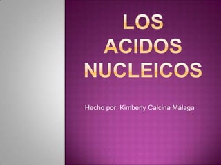 Hecho por: Kimberly Calcina Málaga
 