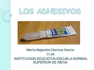 María Alejandra Garnica García
                   11.04
INSTITUCION EDUCATIVA ESCUELA NORMAL
           SUPERIOR DE NEIVA
 