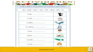 Unidad Educativa Juan XXIII 5
 