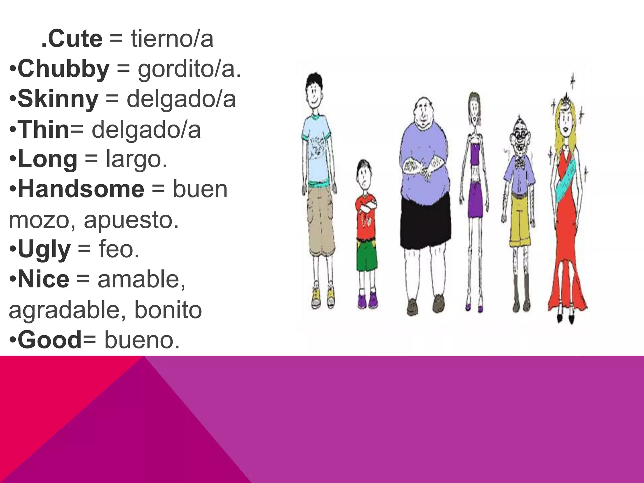 .Cute = tierno/a
•Chubby = gordito/a.
•Skinny = delgado/a
•Thin= delgado/a
•Long = largo.
•Handsome = buen
mozo, apuesto.
•Ugly = feo.
•Nice = amable,
agradable, bonito
•Good= bueno.