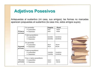 Adjetivos Posesivos
Antepuestas al sustantivo (mi casa, sus amigos); las formas no marcadas
aparecen pospuestas al sustantivo (la casa mía, estos amigos suyos).
 