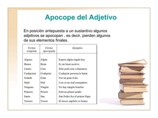 Apocope del Adjetivo
En posición antepuesta a un sustantivo algunos
adjetivos se apocopan , es decir, pierden algunos
de sus elementos finales.
 