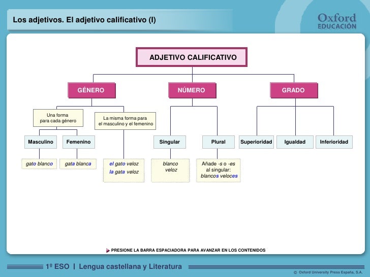 Los adjetivos calificativos y determinativos