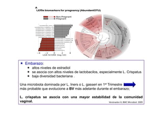 Embarazo:
altos niveles de estradiol
se asocia con altos niveles de lactobacilos, especialmente L. Crispatus
baja diversidad bacteriana .
Una microbiota dominada por L. Iners o L. gasseri en 1er Trimestre
más probable que evolucione a BV más adelante durante el embarazo;
L. crispatus se asocia con una mayor estabilidad de la comunidad
vaginal. Verstraelen H, BMC Microbiol. 2009
 