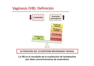 ALTERACIÓN DEL ECOSISTEMA MICROBIANO VAGINAL
La VB es el resultado de la sustitución de lactobacilos
por altas concentraciones de anaerobios
Lactobacillus
Anaerobios
gramnegativos
Vaginosis (VB): Definición
 