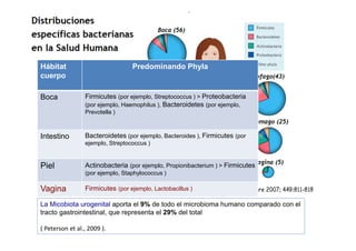 Celulas Eucariotas
1013
Celulas Bacterianas
1014
La mayoría de las comunidades bacterianas coexisten en relaciones
mutualistas con el huésped humano, y se sabe que nuestra
microbiota evolucionó junto con nuestro genoma
( Moran y Sloan, 2015 ).
metagenoma
 