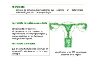 Celulas Eucariotas
1013
Celulas Bacterianas
1014
La mayoría de las comunidades bacterianas coexisten en relaciones
mutualistas con el huésped humano, y se sabe que nuestra
microbiota evolucionó junto con nuestro genoma
( Moran y Sloan, 2015 ).
metagenoma
 