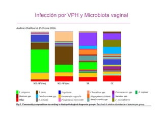 Infección por VPH y Microbiota vaginal
Gao et al. BMC Infectious Diseases 2013, 13:271
Audirac-Chalifour A. PLOS one 2016.
 