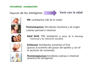 microbiota: composición
Depende de los estrógenos Varía con la edad
RN: Lactobacilos (LB) de la madre
Premenárquicas: Microbiota transitoria y de origen
cutáneo perineal e intestinal
Edad fértil: 70% lactobacilo (a pesar de la descarga
menstrual y las relaciones sexuales)
Embarazo: lactobacilos aumentan al final
(gracias al aumento del grosor del epitelio y con él
la secreción de nutrientes)
Posmenopáusicas:microbiota cutánea e intestinal
(ausencia de estrógenos)
 