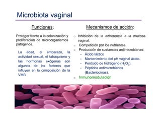 Funciones:
Proteger frente a la colonización y
proliferación de microorganismos
patógenos.
Mecanismos de acción:
o Inhibición de la adherencia a la mucosa
vaginal.
o Competición por los nutrientes.
o Producción de sustancias antimicrobianas:
• Ácido láctico
• Mantenimiento del pH vaginal ácido.
• Peróxido de hidrógeno (H2O2).
• Péptidos antimicrobianos
(Bacteriocinas).
o Inmunomodulación
Microbiota vaginal
La edad, el embarazo, la
actividad sexual, el tabaquismo y
las hormonas exógenas son
algunos de los factores que
influyen en la composición de la
VMB
 