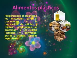 Proporcionan al organismo los materiales para el crecimiento y la renovación de células y tejidos;  predominan las proteínas y el calcio (cereales y derivados, grasas y aceites, algunas leguminosas). 