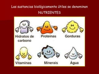 Las sustancias biológicamente útiles se denominan
NUTRIENTES
 