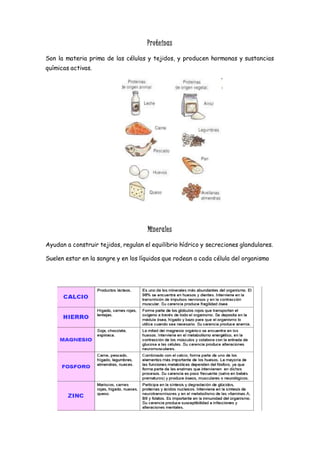 Proteínas
Son la materia prima de las células y tejidos, y producen hormonas y sustancias
químicas activas.
Minerales
Ayudan a construir tejidos, regulan el equilibrio hídrico y secreciones glandulares.
Suelen estar en la sangre y en los líquidos que rodean a cada célula del organismo
 