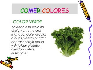 COMER COLORES
COLOR VERDE
se debe a la clorofila
el pigmento natural
mas abúndate, gracias
a el las plantas pueden
captar energía del sol
y sintetizar glucosa,
almidón y otros
nutrientes
 