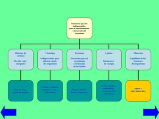 Sustancias que son  indispensables  para el funcionamiento  y desarrollo del  organismo Hidratos de  carbono De alto valor  energético Lípidos Productores  de energía Vitaminas Indispensables para  el buen estado  del organismo Pan, harinas,  azúcares, pastas. Frutas y verduras Vitaminas A, B, C,  entre otras. Grasas, aceites y  mantequilla.  Aceite de oliva, entre otros. Minerales Equilibrio de las  funciones  del organismo Aguas y  sales minerales. Proteínas Necesarias para el  crecimiento y formación  de los tejidos Carnes, huevos,  lácteos, legumbres. 
