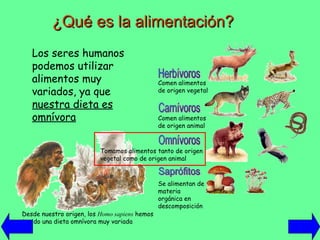¿Qué es la alimentación? Los seres humanos podemos utilizar alimentos muy variados, ya que  nuestra dieta es omnívora Se alimentan de materia orgánica en descomposición Comen alimentos de origen vegetal Comen alimentos de origen animal Tomamos alimentos tanto de origen vegetal como de origen animal Desde nuestro origen, los  Homo sapiens  hemos tenido una dieta omnívora muy variada 
