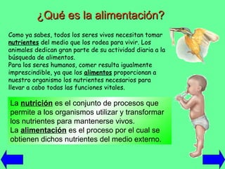 ¿Qué es la alimentación? Como ya sabes, todos los seres vivos necesitan tomar  nutrientes  del medio que los rodea para vivir. Los animales dedican gran parte de su actividad diaria a la búsqueda de alimentos. Para los seres humanos, comer resulta igualmente imprescindible, ya que los  alimentos  proporcionan a nuestro organismo los nutrientes necesarios para llevar a cabo todas las funciones vitales. La  nutrición  es el conjunto de procesos que permite a los organismos utilizar y transformar los nutrientes para mantenerse vivos. La  alimentación  es el proceso por el cual se obtienen dichos nutrientes del medio externo. 