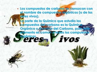  Los compuestos de carbono se conozcan con
el nombre de compuestos orgánicos (o de los
seres vivos).
 La parte de la Química que estudia los
compuestos del carbono es la Química
Orgánica o Química del Carbono, pues este
elemento es común a todos los compuestos
orgánicos.
 