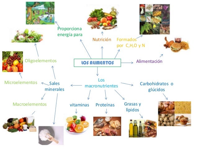 Los alimentos