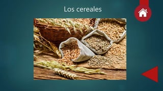 Los cereales
 
