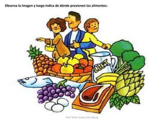 Prof. Víctor Jhony Caro Rituay
Observa la imagen y luego indica de dónde provienen los alimentos: