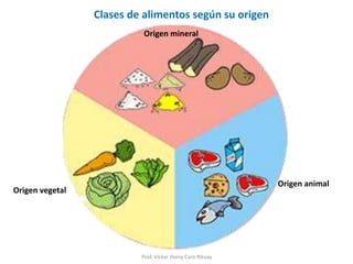 Prof. Víctor Jhony Caro Rituay
Clases de alimentos según su origen
Origen animal
Origen vegetal
Origen mineral