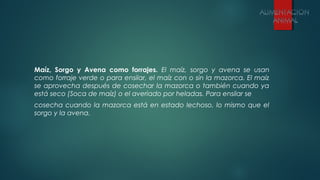 Maíz, Sorgo y Avena como forrajes. El maíz, sorgo y avena se usan
como forraje verde o para ensilar, el maíz con o sin la mazorca. El maíz
se aprovecha después de cosechar la mazorca o también cuando ya
está seco (Soca de maíz) o el averiado por heladas. Para ensilar se
cosecha cuando la mazorca está en estado lechoso, lo mismo que el
sorgo y la avena.
 