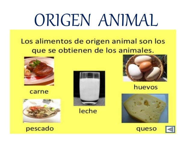 origen de los alimentos mineral los alimentos cristina origen de los alimentos mineral los alimentos cristina