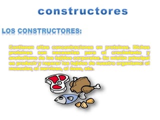 Contienen altas concentraciones en proteínas. Dichas 
proteínas son necesarias para el crecimiento y 
anabolismo de los tejidos corporales. Su misión principal 
es producir y reparar los tejidos de nuestro organismo: el 
muscular, el nervioso, el óseo, etc. 
 