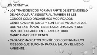 EN DEFINITIVA:
• LOS TRANSGÉNICOS FORMAN PARTE DE ESTE MODELO
DE AGRICULTURA INDUSTRIAL. TAMBIÉN SE LES
CONOCE COMO ORGANISMOS MODIFICADOS
GENÉTICAMENTE (OMG), Y SON SERES VIVOS NUEVOS,
QUE NO EXISTÍAN ANTES EN LA NATURALEZA, Y QUE
HAN SIDO CREADOS EN EL LABORATORIO
MANIPULANDO SUS GENES.
• CADA VEZ MÁS DATOS CIENTÍFICOS CONFIRMAN LOS
RIESGOS QUE SUPONEN PARA LA SALUD Y EL MEDIO
AMBIENTE.
 