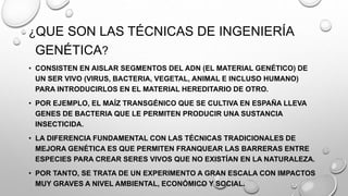 ¿QUE SON LAS TÉCNICAS DE INGENIERÍA
GENÉTICA?
• CONSISTEN EN AISLAR SEGMENTOS DEL ADN (EL MATERIAL GENÉTICO) DE
UN SER VIVO (VIRUS, BACTERIA, VEGETAL, ANIMAL E INCLUSO HUMANO)
PARA INTRODUCIRLOS EN EL MATERIAL HEREDITARIO DE OTRO.
• POR EJEMPLO, EL MAÍZ TRANSGÉNICO QUE SE CULTIVA EN ESPAÑA LLEVA
GENES DE BACTERIA QUE LE PERMITEN PRODUCIR UNA SUSTANCIA
INSECTICIDA.
• LA DIFERENCIA FUNDAMENTAL CON LAS TÉCNICAS TRADICIONALES DE
MEJORA GENÉTICA ES QUE PERMITEN FRANQUEAR LAS BARRERAS ENTRE
ESPECIES PARA CREAR SERES VIVOS QUE NO EXISTÍAN EN LA NATURALEZA.
• POR TANTO, SE TRATA DE UN EXPERIMENTO A GRAN ESCALA CON IMPACTOS
MUY GRAVES A NIVEL AMBIENTAL, ECONÓMICO Y SOCIAL.
 