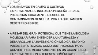 • LOS ENSAYOS EN CAMPO O CULTIVOS
EXPERIMENTALES, INCLUSO A PEQUEÑA ESCALA,
PRESENTAN IGUALMENTE RIESGOS DE
CONTAMINACIÓN GENÉTICA, POR LO QUE TAMBIÉN
DEBEN PROHIBIRSE.
• A PESAR DEL GRAN POTENCIAL QUE TIENE LA BIOLOGÍA
MOLECULAR PARA ENTENDER LA NATURALEZA Y
DESARROLLAR LA INVESTIGACIÓN MÉDICA, ESTO NO
PUEDE SER UTILIZADO COMO JUSTIFICACIÓN PARA
CONVERTIR EL MEDIO AMBIENTE EN UN GIGANTESCO
 