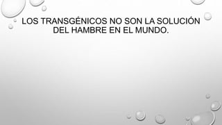 LOS TRANSGÉNICOS NO SON LA SOLUCIÓN
DEL HAMBRE EN EL MUNDO.
 