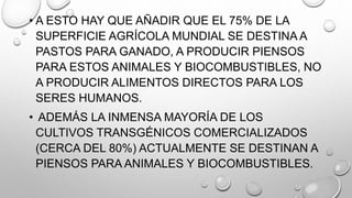 • A ESTO HAY QUE AÑADIR QUE EL 75% DE LA
SUPERFICIE AGRÍCOLA MUNDIAL SE DESTINA A
PASTOS PARA GANADO, A PRODUCIR PIENSOS
PARA ESTOS ANIMALES Y BIOCOMBUSTIBLES, NO
A PRODUCIR ALIMENTOS DIRECTOS PARA LOS
SERES HUMANOS.
• ADEMÁS LA INMENSA MAYORÍA DE LOS
CULTIVOS TRANSGÉNICOS COMERCIALIZADOS
(CERCA DEL 80%) ACTUALMENTE SE DESTINAN A
PIENSOS PARA ANIMALES Y BIOCOMBUSTIBLES.
 