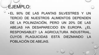 EJEMPLO:
• EL 90% DE LAS PLANTAS SILVESTRES Y UN
TERCIO DE NUESTROS ALIMENTOS DEPENDEN
DE LA POLINIZACIÓN, PERO UN 20% DE LAS
ABEJAS HA DESAPARECIDO EN EUROPA. ¿EL
RESPONSABLE? LA AGRICULTURA INDUSTRIAL,
CUYOS PLAGUICIDAS ESTÁ DIEZMANDO LA
POBLACIÓN DE ABEJAS.
 