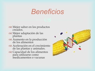 
Beneficios
 Mejor sabor en los productos
creados.
 Mejor adaptación de las
plantas
 Aumento en la producción
de los alimentos
 Aceleración en el crecimiento
de las plantas y animales.
 Capacidad de los alimentos
para utilizarse como
medicamentos o vacunas
 
