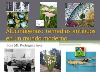 Alucinógenos: remedios antiguos
en un mundo moderno
José Ml. Rodríguez Arce

 