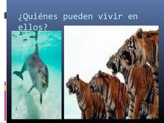 ¿Quiénes pueden vivir en
ellos?
 