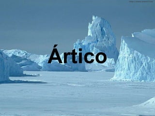 Ártico 
 