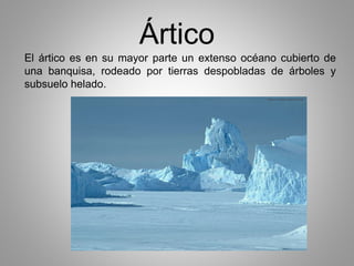Ártico 
El ártico es en su mayor parte un extenso océano cubierto de 
una banquisa, rodeado por tierras despobladas de árboles y 
subsuelo helado. 
 