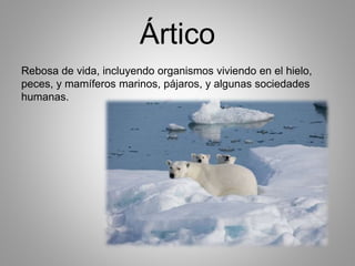 Ártico 
Rebosa de vida, incluyendo organismos viviendo en el hielo, 
peces, y mamíferos marinos, pájaros, y algunas sociedades 
humanas. 
 