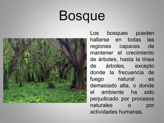 Bosque 
Los bosques pueden 
hallarse en todas las 
regiones capaces de 
mantener el crecimiento 
de árboles, hasta la línea 
de árboles, excepto 
donde la frecuencia de 
fuego natural es 
demasiado alta, o donde 
el ambiente ha sido 
perjudicado por procesos 
naturales o por 
actividades humanas. 
 